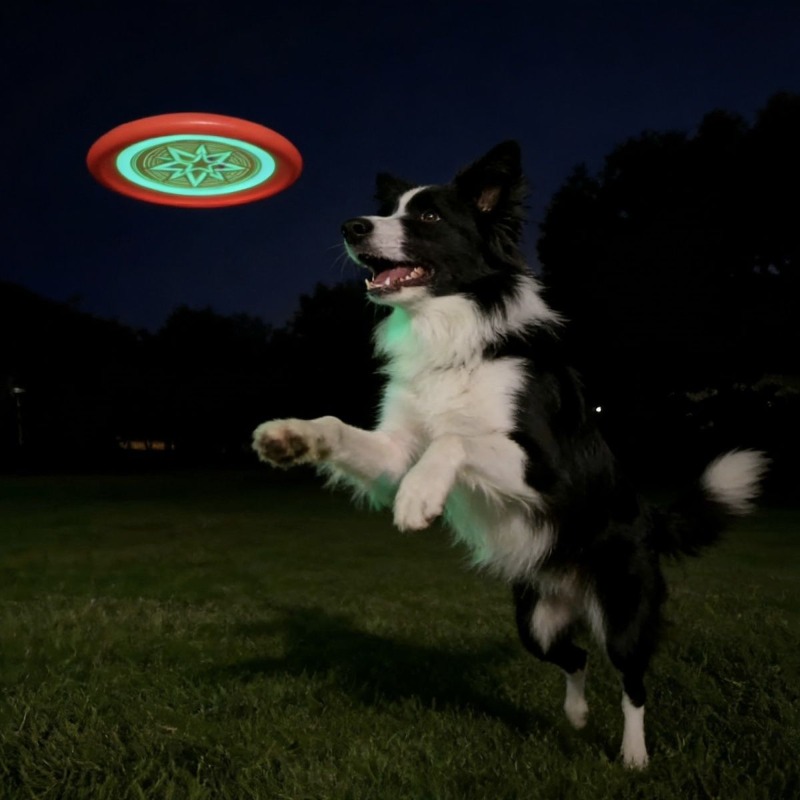Frisbee Freestyle Disc - Glow in the Dark Dog Frisbee,
