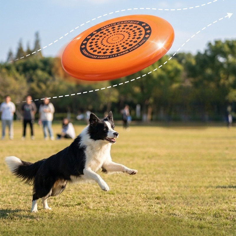 Dog Frisbee 27CM Durable Chew  - Frisbee Freestyle Disc ulasan dan harga