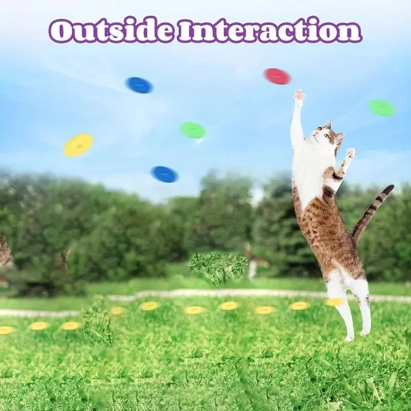 Funny Cat Toys Creative Turnip - Frisbee Freestyle Disc ulasan dan harga