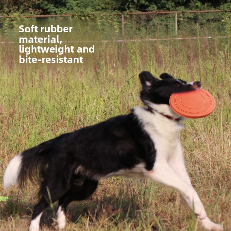 Soft Flying, Dog Toys Interact - Frisbee Freestyle Disc ulasan dan harga