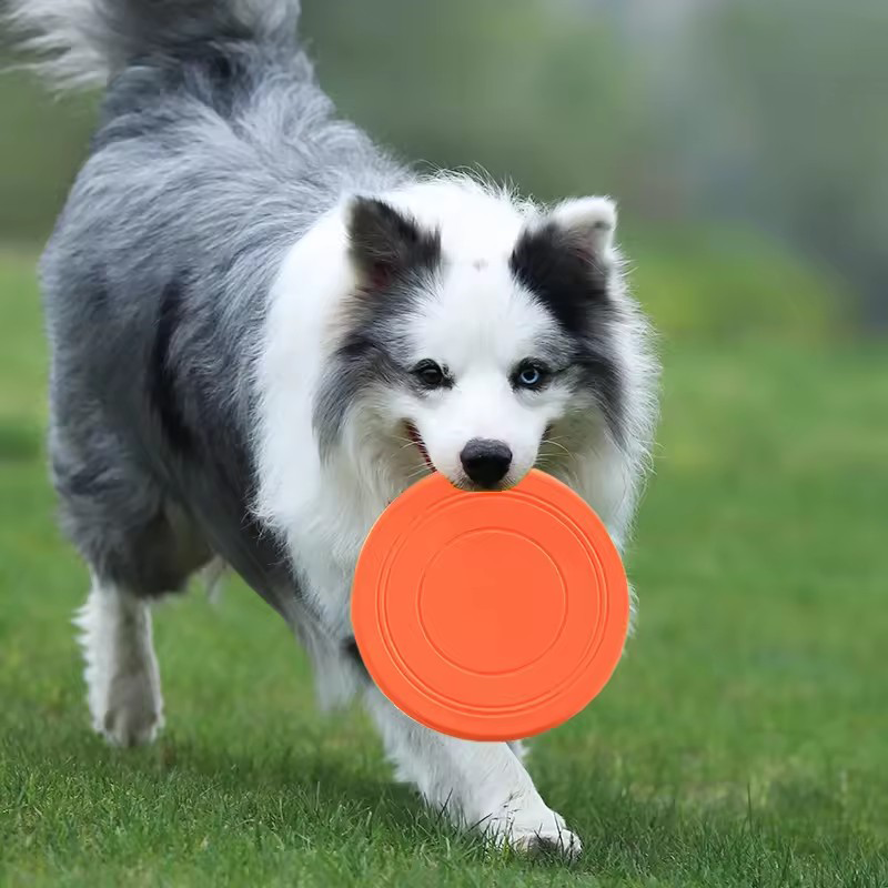 Durable Chewable Pet Training  - Frisbee Freestyle Disc ulasan dan harga