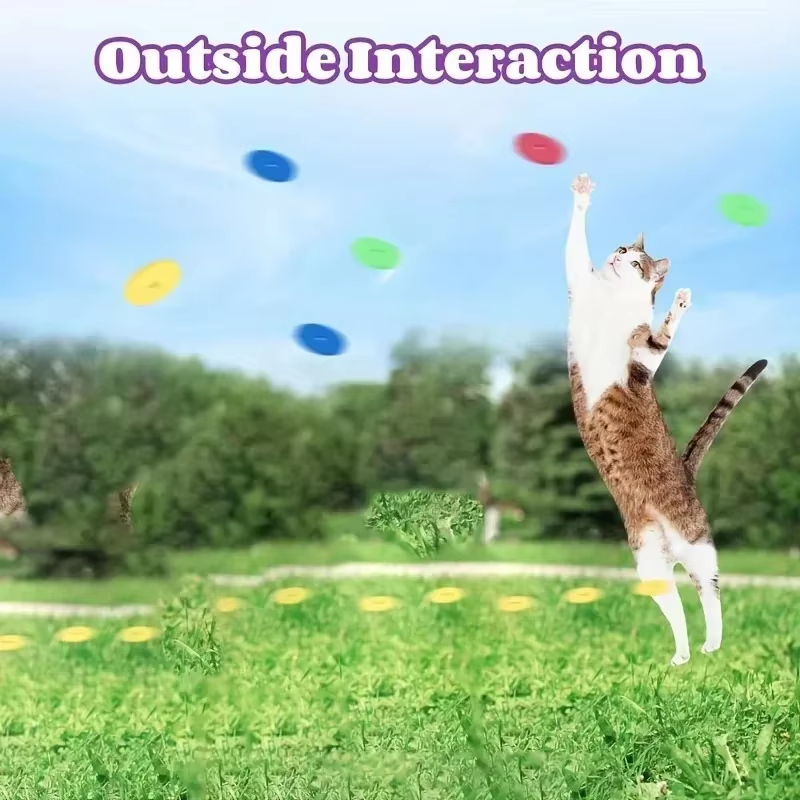 Funny Cat Toys Creative Turnip - Frisbee Freestyle Disc ulasan dan harga