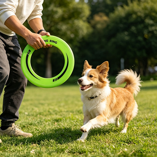 1PC Durable Hollow Ring Frisbe - Frisbee Freestyle Disc ulasan dan harga