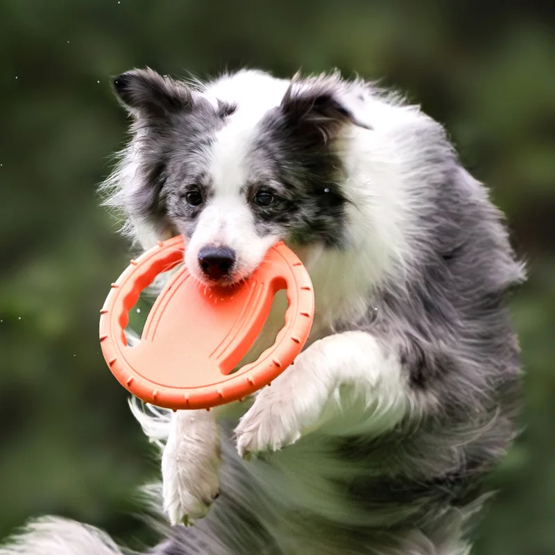 Durable Dog Flying Disc Toy Pe - Frisbee Freestyle Disc ulasan dan harga