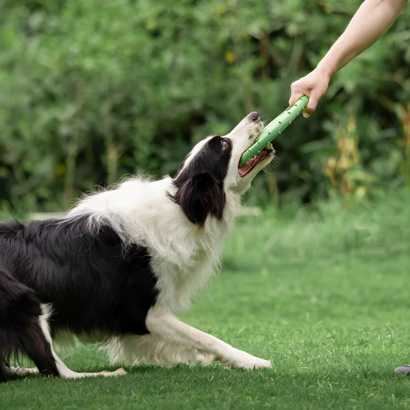 Durable Dog Flying Disc Toy Pe - Frisbee Freestyle Disc ulasan dan harga